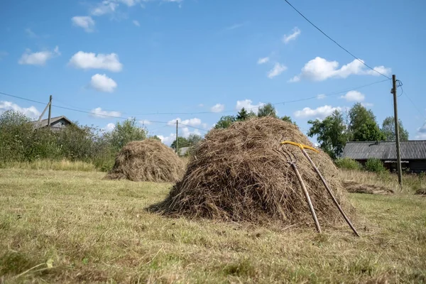 Haystack med ett verktyg för insamling av torrt gräs, krattor och gafflar, på bakgrunden av landsbygden. Landsbygdslivsstil. — Stockfoto