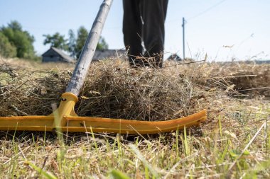 Erkek bacaklarının arka planına ve köy bahçesine karşı saman biçmek için tırmık. Kırsal yaşam tarzı.