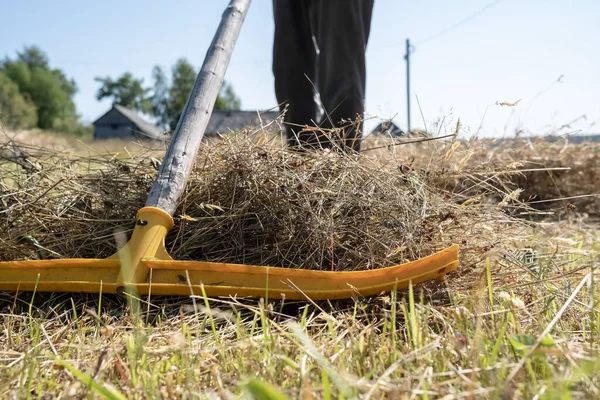 Rake per la raccolta del fieno, sullo sfondo di gambe maschili e un cortile del villaggio. Stile di vita rurale. — Foto Stock