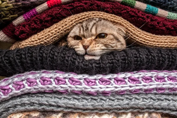 Stapel van wollen kleding — Stockfoto