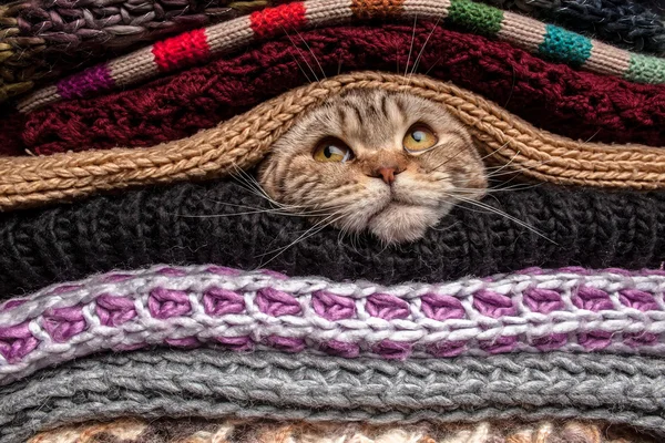 Pilha de roupas de lã — Fotografia de Stock