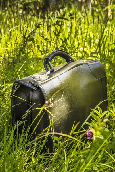 Koffer im Gras — Stockfoto