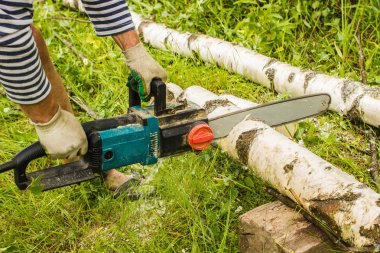 odun kesme, elektrikli Zincirli Ağaç kesme testereleri kullanarak adam