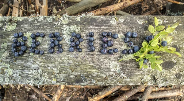 Le mot "baies", écrit par des bleuets sur une planche de bois — Photo