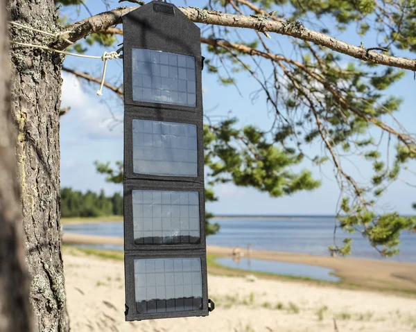 Portable foldable solar panel battery hanging on the outdoors on a pine tree
