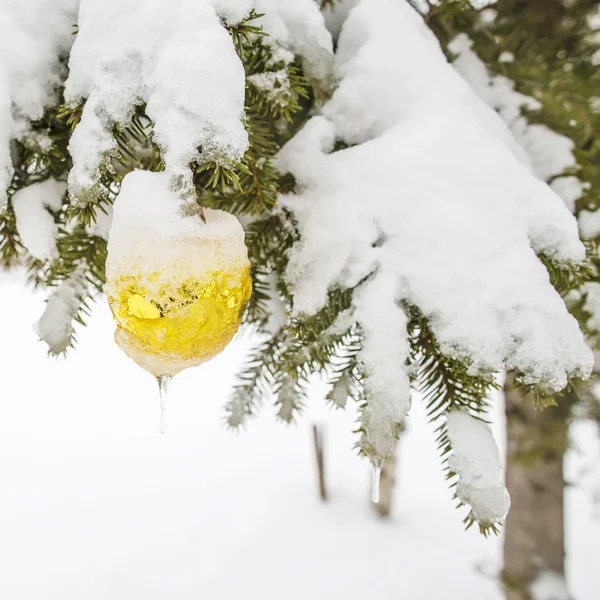 Christmas speelgoed met icicle bedekt met sneeuw opknoping op spar — Stockfoto