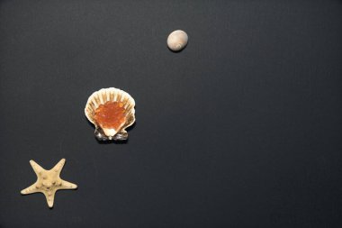 İstiridye kabuğunda kırmızı somon balığı havyarı, deniz yıldızı ve çeşitli şekillerde kabukların yanında. Siyah arkaplanda izole et.