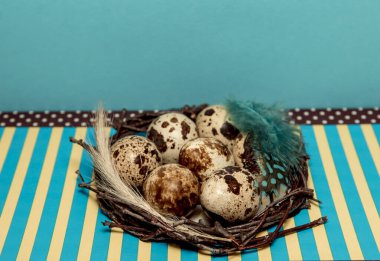 Bu Paskalya çelengi dikenler, çiçekler ve tüylerle süslenmiş. Bıldırcın yumurtaları ortaya. Paskalya tatili için dekorasyon.