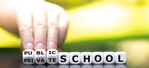 Prywatna Czy Publiczna Szkoła Ręka Zamienia Kości Zmienia Wyrażenie Szkoła — Zdjęcie stockowe