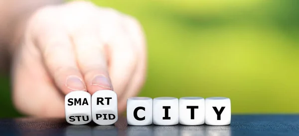 手握骰子 愚蠢的城市 聪明的城市 — 图库照片