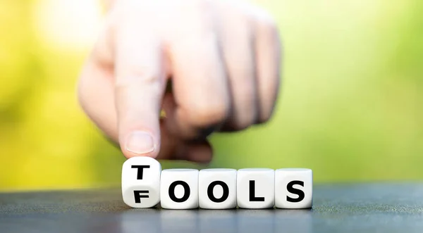 Tools Fools Dice Show Words Tools Fools — Stock Photo, Image