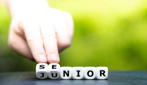 Les Dés Forment Les Mots Senior Junior — Photo