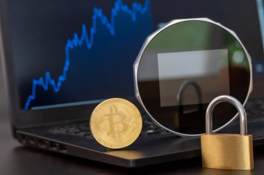 Bir dijital cüzdan, bir bitcoin ve bir deftere yerleştirilmiş bir kilit.. 