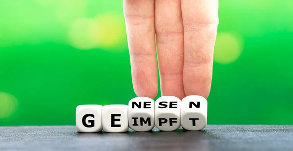 接种和康复人员的特权 老鼠形成德语单词 Geimpft Genesen — 图库照片