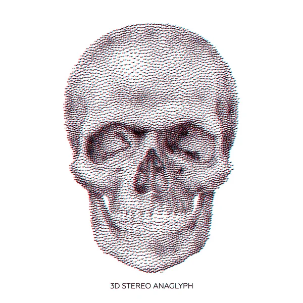 Скелет 3D-кости — стоковый вектор