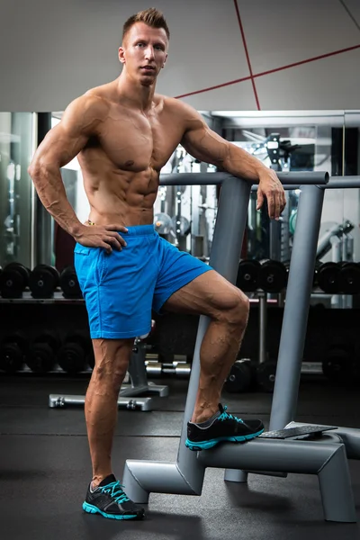Muscular handsome bodybuilder — Stock Photo, Image