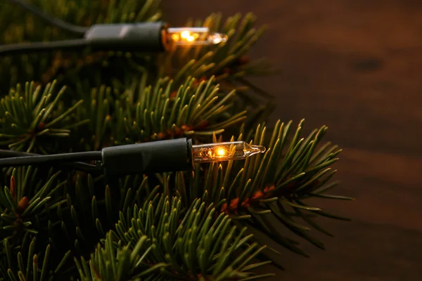 Kerstverlichting en deelgebieden van de spar — Stockfoto