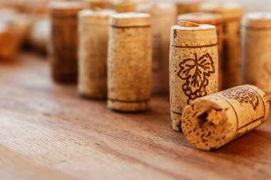 farklı şarap mantarlar