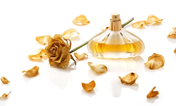 Fiolka z perfum i suchy kwiat róży — Zdjęcie stockowe