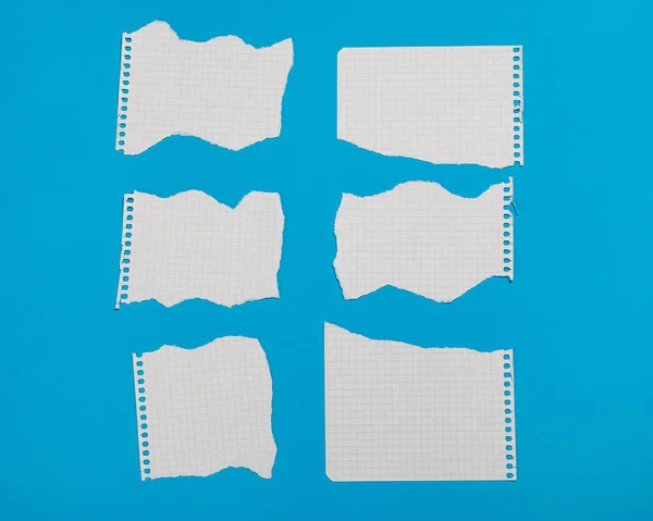 Torn pieces of checkered paper — Stock Photo, Image