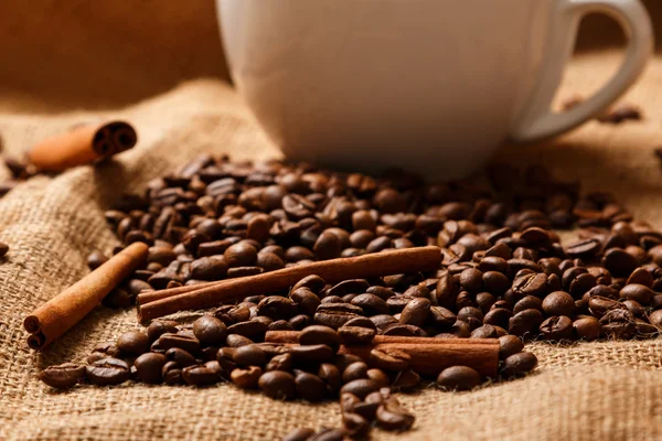 Taza, granos de café y palitos de canela — Foto de Stock