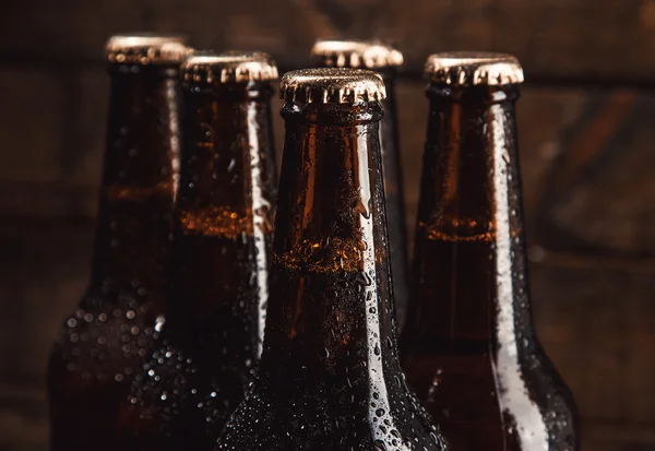 Bottles of cold beer — Stock Photo, Image