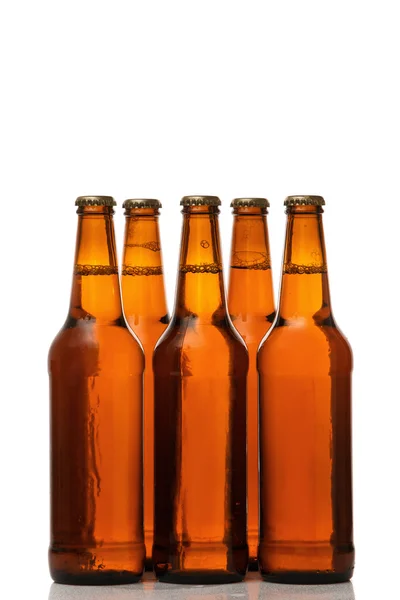 고립 된 맥주 병 — 스톡 사진