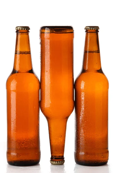 Пляшки холодного пива — стокове фото