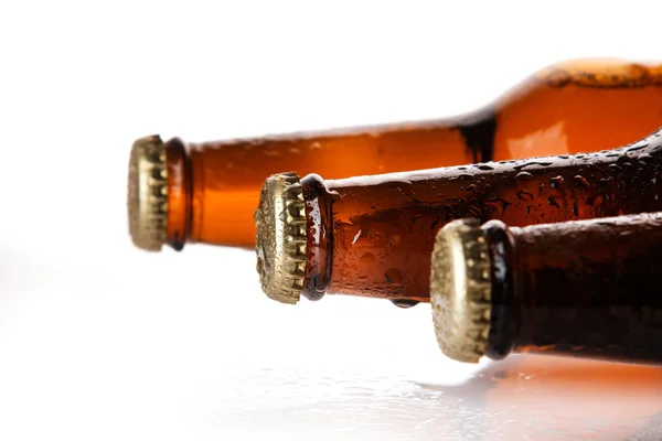 차고 신선 한 맥주 한 병 — 스톡 사진