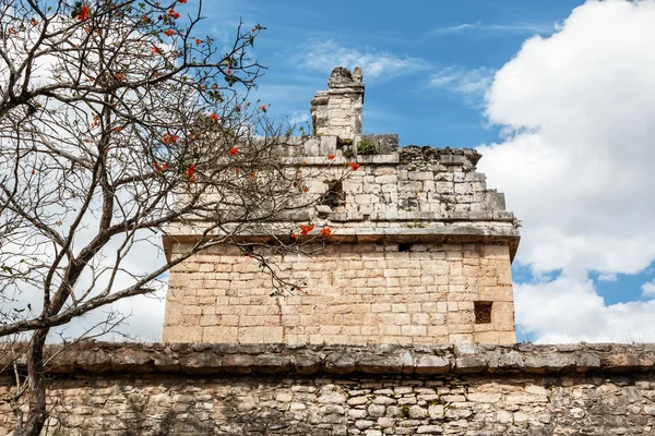 Chichen Itza, antik kalıntılar — Stok fotoğraf