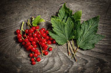 Frenk üzümü çilek