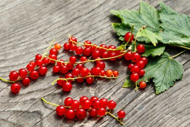 Frenk üzümü çilek