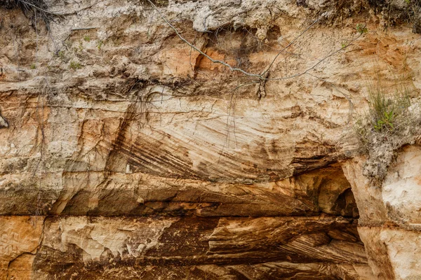 Sand cliffs  with caves — Stock Photo, Image