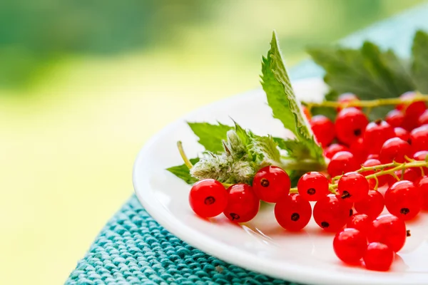 Rote Johannisbeeren auf dem Teller — Stockfoto