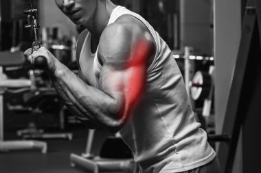 Trisepslerin uzmanlık alanı vücut geliştirme. Spor salonunda çalışırken kaslı bir adam..