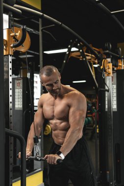 Vücut geliştirici spor salonunda çalışırken kablo triseps itme hareketi yapıyor.