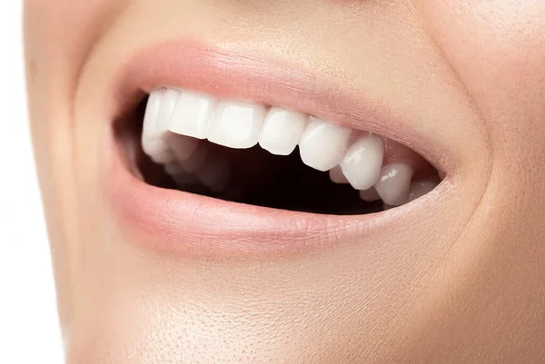 아름다운 이빨을 암컷의 감쌌다 — 스톡 사진