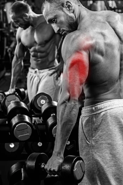 Tríceps Especialización Culturismo Hombre Muscular Durante Entrenamiento Gimnasio —  Fotos de Stock