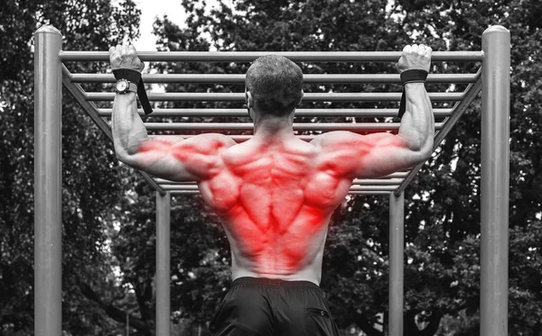 Espalda Especialización Culturismo Muscular Hombre Haciendo Pull Ups Una Barra —  Fotos de Stock