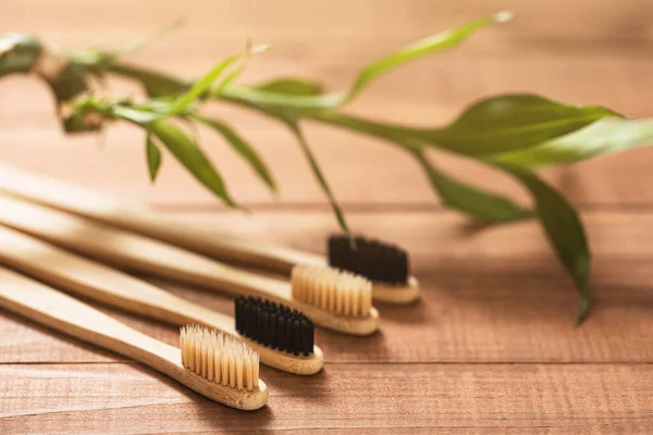 Planta Bambu Escovas Dentes Ecológicas Superfície Madeira — Fotografia de Stock