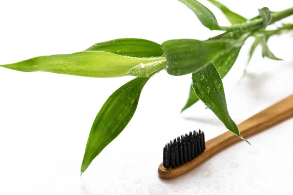 Eco Friendly Toothbrush Bamboo Plant White Background — Stock Photo, Image