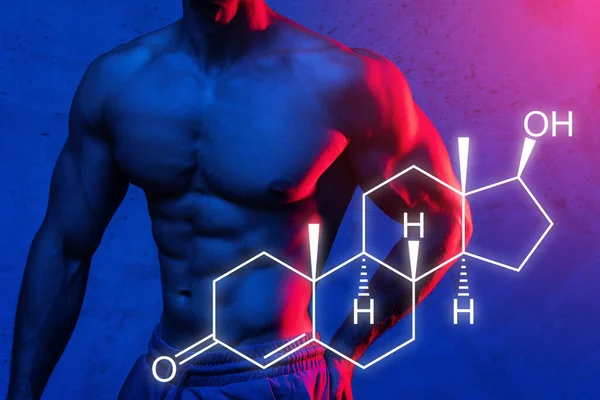 Izmos Férfi Törzs Tesztoszteron Formula Hormonnövelő Módszerek Fogalma — Stock Fotó