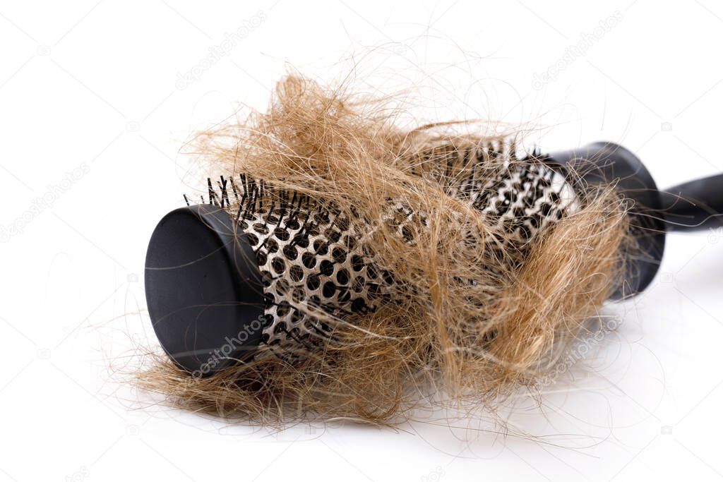 Metal round hairbrush and clump of hair on white background