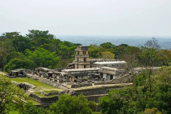Starożytne Miasto Majów Ukryte Dzikiej Dżungli — Zdjęcie stockowe