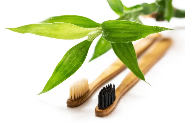 Eco Friendly Toothbrushes Bamboo Plant White Background — Stock Photo, Image