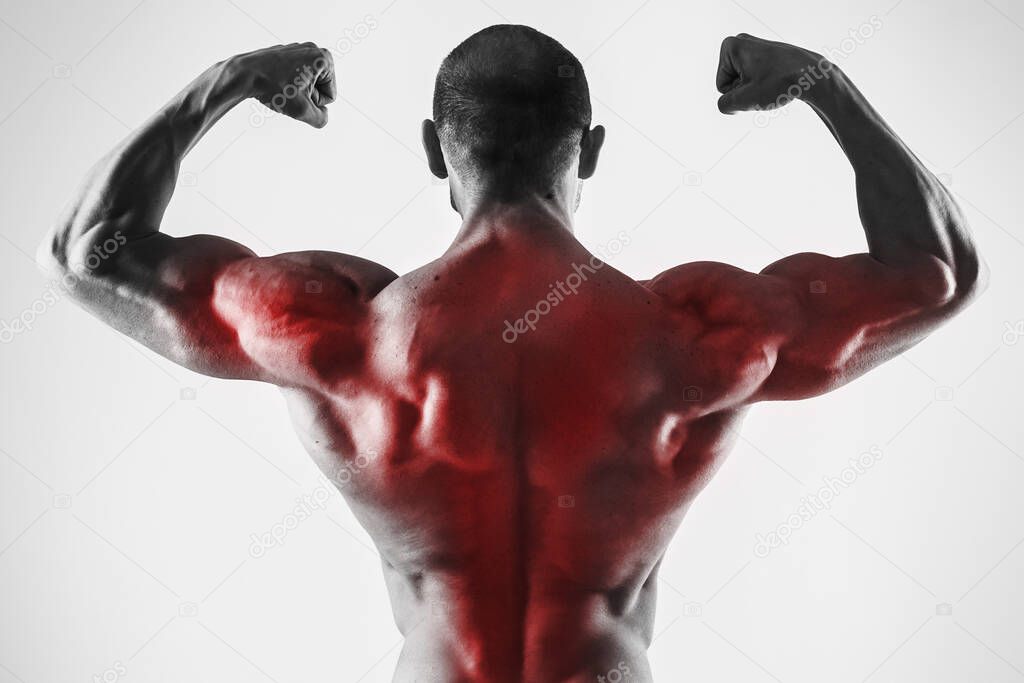 Specialization for back muscles in a bodybuilidng. Muscular man showing his strong body.