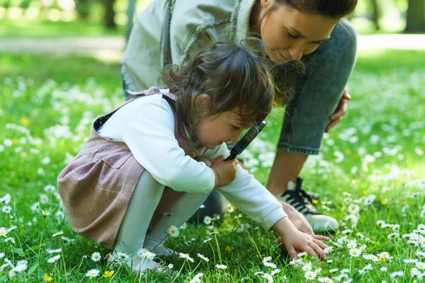 Мать Дочь Лупой Исследуют Ромашковое Поле Городском Парке — стоковое фото