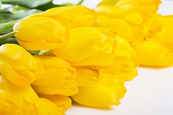 Beautiful yellow tulips — Stock Photo, Image