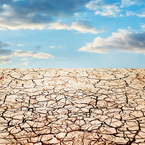 Dry ground and sky — Stock Photo, Image