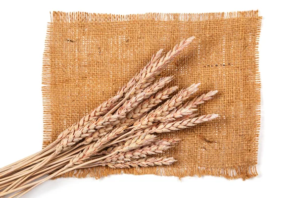 Sackcloth and wheat — Stock Photo, Image